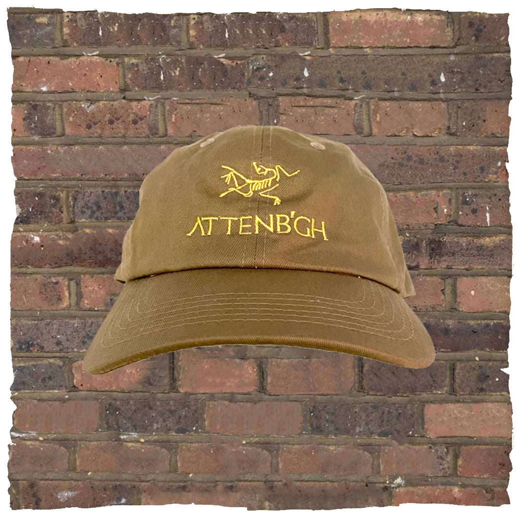 Attenborough Cap