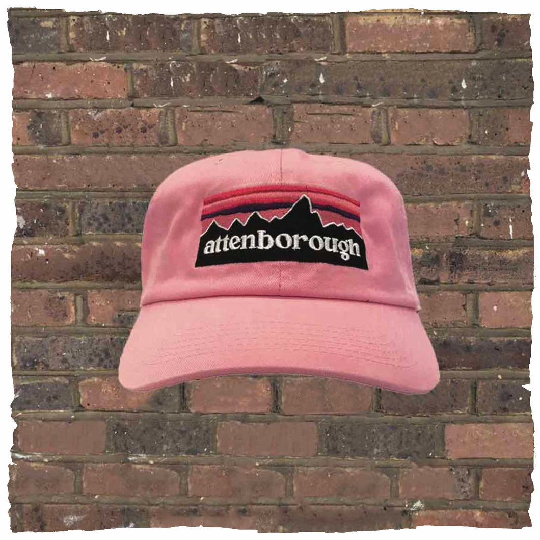 Attenborough Cap