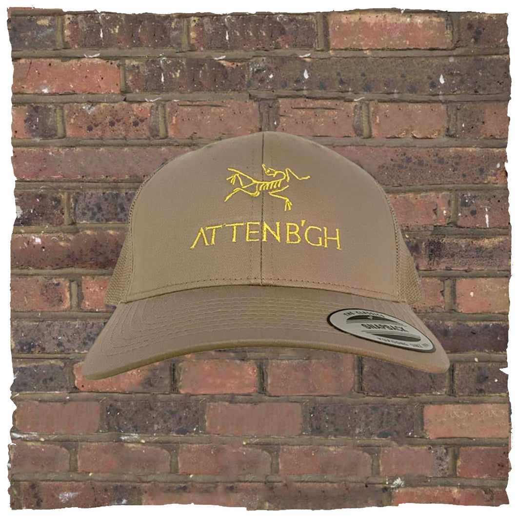 Attenborough Cap